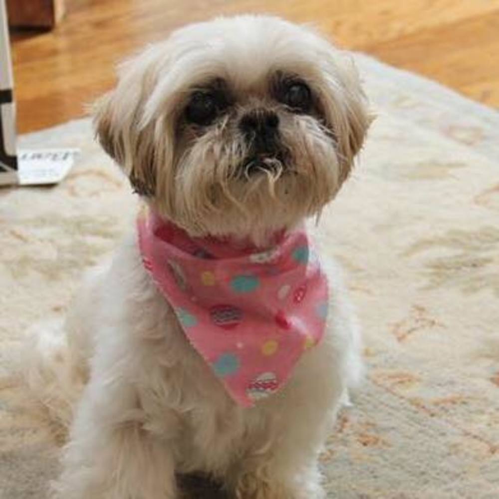 Meet your Posher, Kimberly